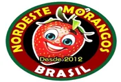 Logo do cliente Nordeste Morangos